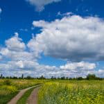 SimpleMindfulns's tweet photo. If you want to be more productive and peaceful throughout the day, create a meaningful morning routine.

Read the full article: Embrace the Power of the Pause
▸ https://t.co/c4rhy7R79d

#Happiness #Mindfulness #Habits https://t.co/wRlIehAUeu