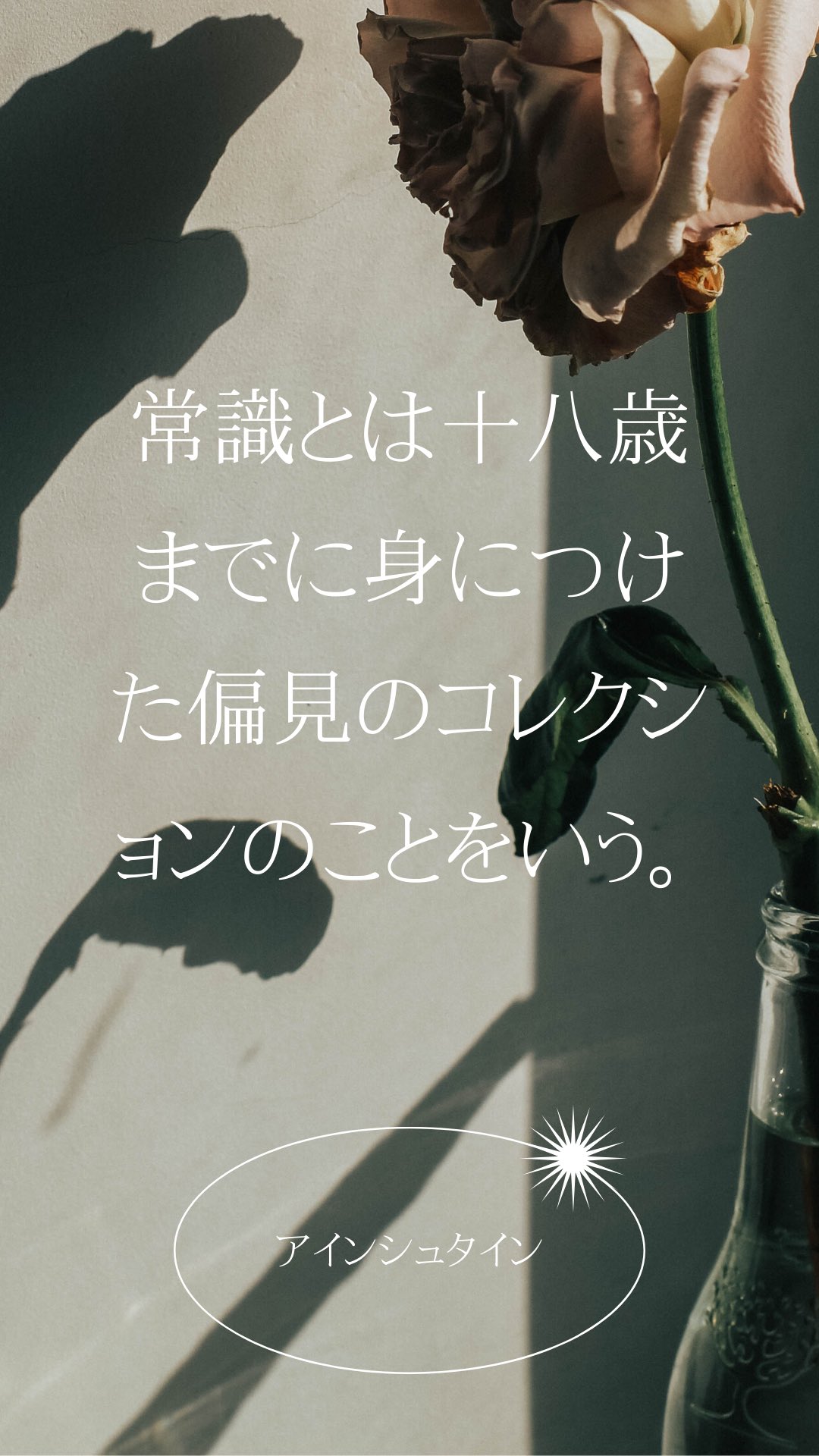 Noa Takiha モルディブ移住 日本 常識とは十八歳までに身につけた偏見のコレクションのことをいう アインシュタイン 今自分が思っている常識は常識ではないということだね T Co Xzghalxsk7 Twitter