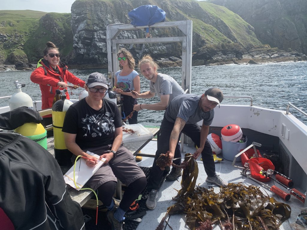 DanSmale1's tweet photo. Day 5 of kelp surveys, now in SE Scotland near St Abbs. Very lush and extensive kelp stands, gazillions of juvenile fish and calm seas and sunny skies. The fieldwork gods are still on our side (for now) 🏴󠁧󠁢󠁳󠁣󠁴󠁿 🌱 🌊 ☀️ 🐠 🧪 https://t.co/22vuYiB7zj