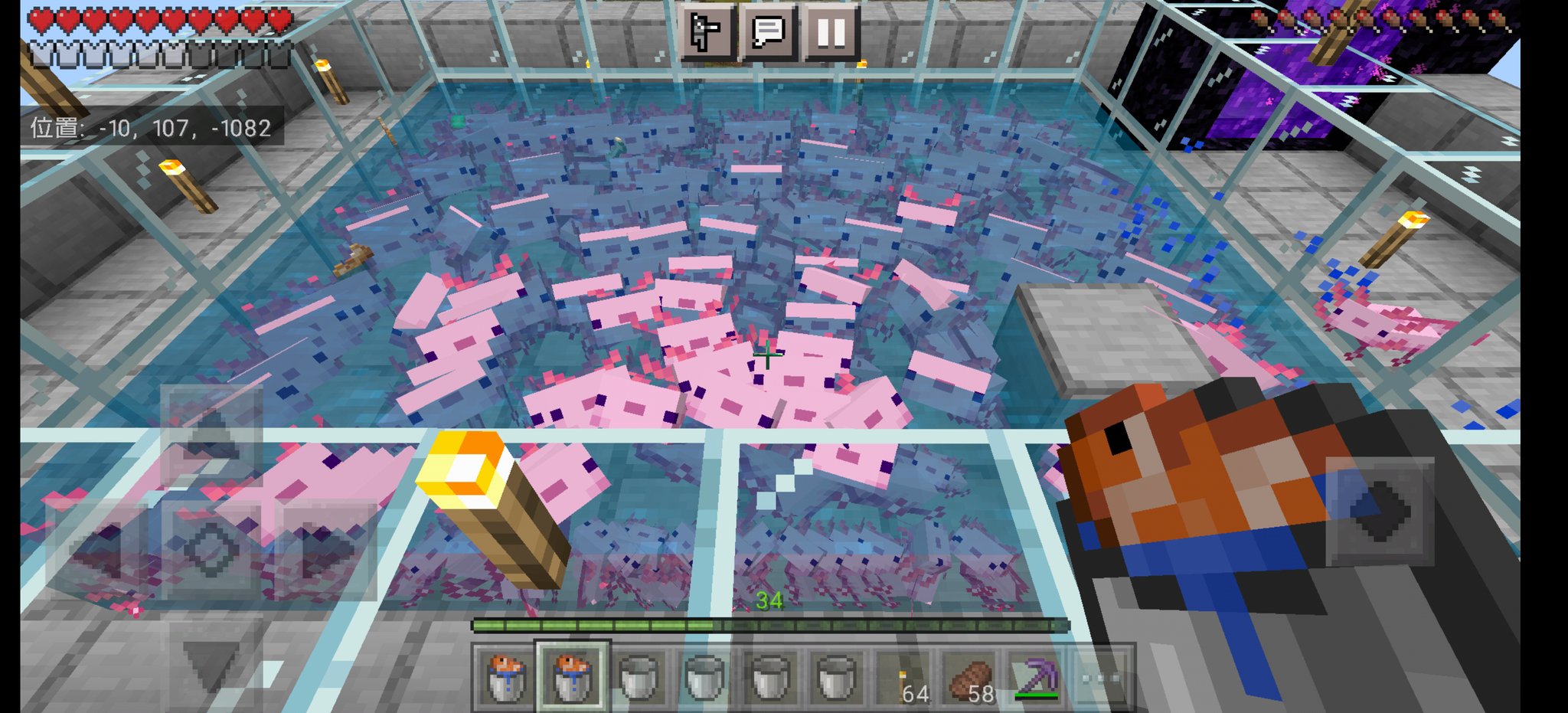 シュウ 徒然 そろそろ青うぱ諦めようかと思っている マイクラ マインクラフト Minecraft ウーパールーパー 青色 熱帯魚トラップ T Co 3sddbgkmad Twitter