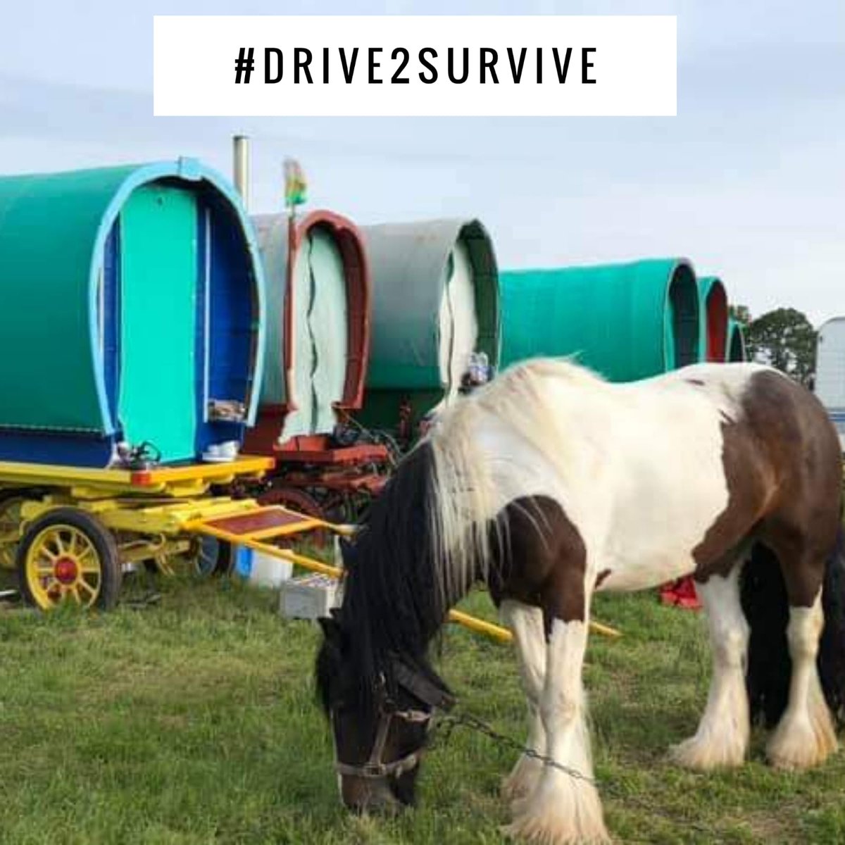 SherrieRomany's tweet photo. 6pm tonight zoom planning meeting. For @Drive2survive3 London Rally #Gypsies #Showmen #Travellers #nofixedabode #Boaters #walkers #protest #StrongerTogether #KillTheBill
Dm for link https://t.co/c8urESSy4e