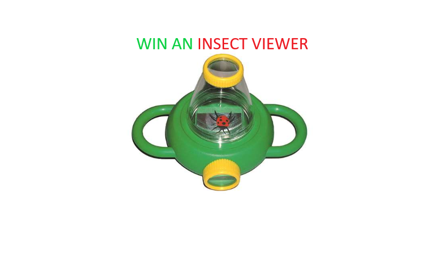 BrecklandSci's tweet photo. 21st - 27th June is #insectweek2021 Tell us what your school does to protect and promote the most diverse and ecologically important animals on land habitats for a chance to win this fun viewer!ππͺ°πππͺ²π·οΈ https://t.co/lGY4Sob3Kw