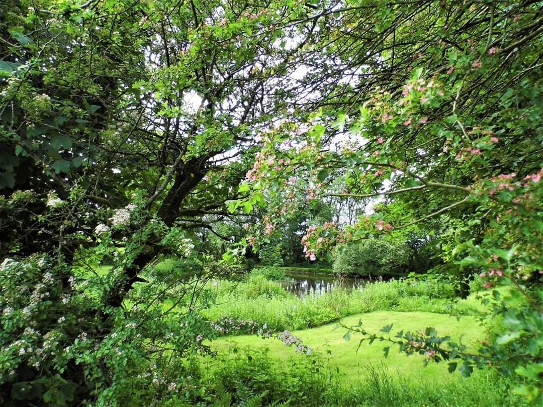 dolcoed's tweet photo. @dolcoed 
#naturists Small, rural &amp; tranquil naturist Caravan &amp; campsite, friendly, clean and modern, all facilities open. 
Don't miss out, Call 01559 395820 to Book @britnaturism @HEnaturist @Pines_Naturist @natcorn @UKNaturism https://t.co/ji5zTcugPj