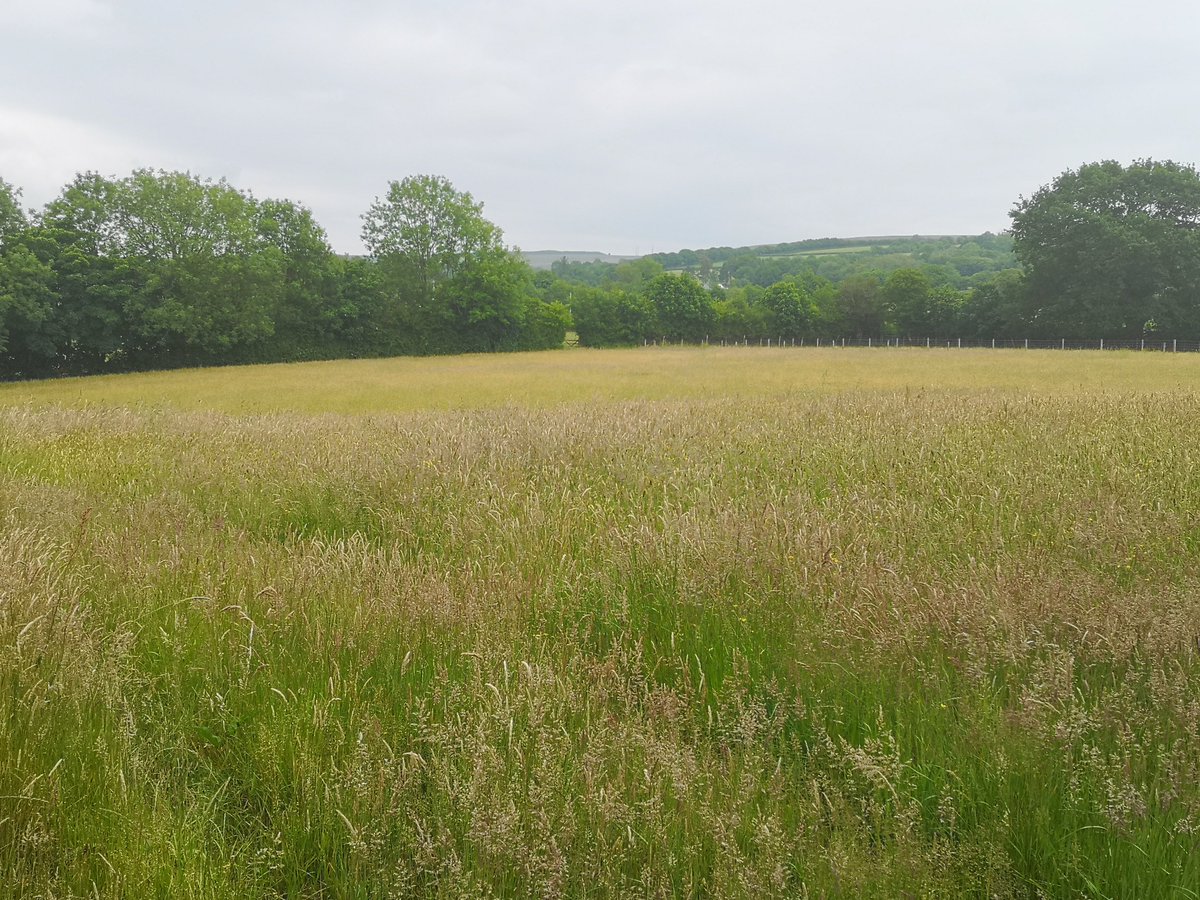 dolcoed's tweet photo. @dolcoed 
#naturists Small, rural &amp; tranquil naturist Caravan &amp; campsite, friendly, clean and modern, all facilities open. 
Don't miss out, Call 01559 395820 to Book @britnaturism @HEnaturist @Pines_Naturist @natcorn @UKNaturism https://t.co/ji5zTcugPj