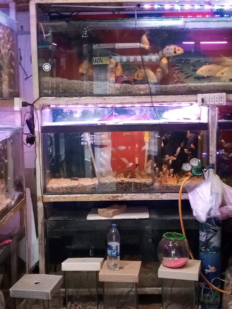RwpVForce's tweet photo. Our Animal Protection Unit (APU) visited pet markets 🐈🐇🦜🐕

Shop owners were reminded to ensure Cleanliness 🧽🧹 &amp; provide proper Food 🥖 &amp; Water 🥤

#MondayMotivation #rwpVForce

@qasim_16 @Sikandariii @nousheenisrar @MahmoodAbdullah @AcGujarkhan @IrumBukhari_ @MehrTarar https://t.co/82EWiZJYLn