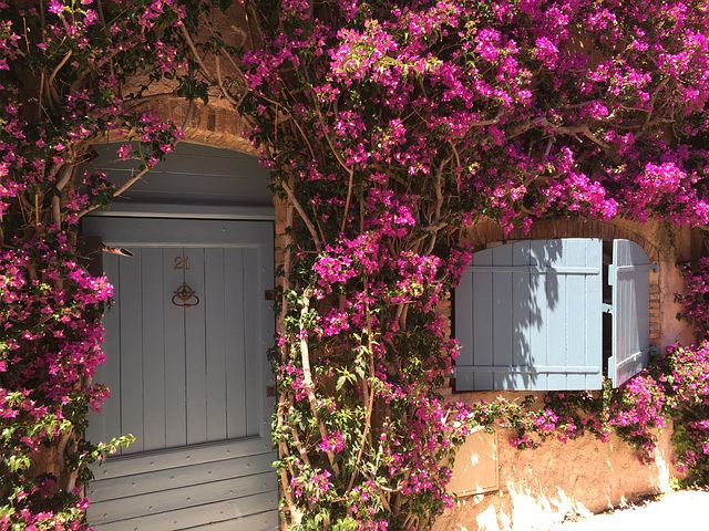 يسعد صباحكم جميعا 
الي فاضيه تجي خاص انا ضايج