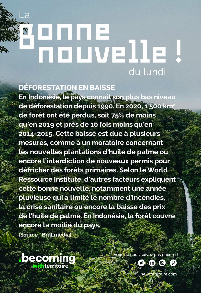 TERRITOIRE tweet media