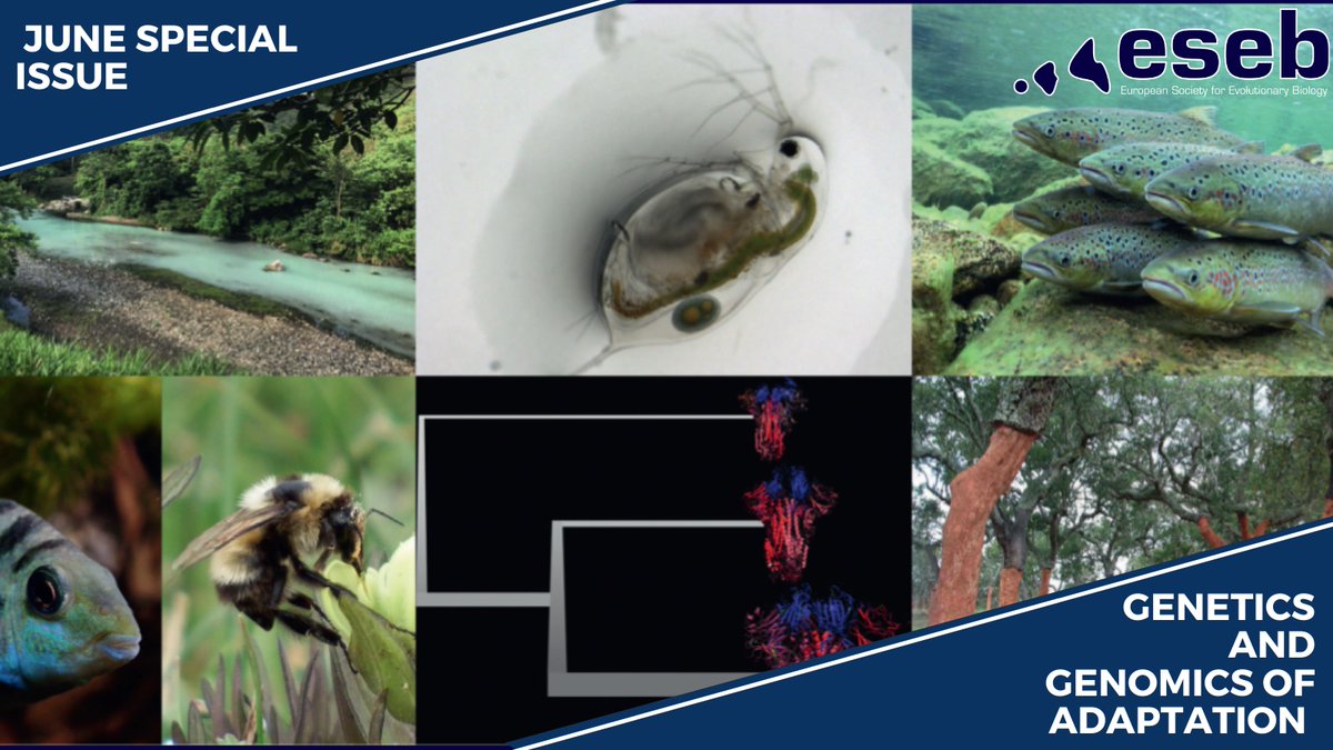 The June Issue of <a href="/JEvBio/">Journal of Evolutionary Biology</a>, a Special Issue guest edited by <a href="/julia_c_jones/">Julia Jones</a>, <a href="/pfranchini76/">Paolo Franchini</a> &amp; <a href="/CarmeloFruciano/">CarmeloFruciano</a>, is now online! A massive amount of work from those involved in the <a href="/ESEB2019/">ESEB2019</a> (<a href="/eseb_org/">ESEB</a>) symposium of the same name - Congratulations to all  🥳