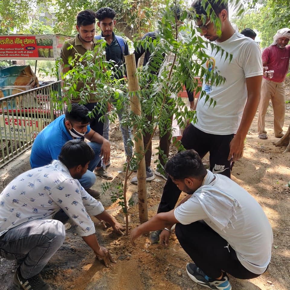 ULB Name : MCF ULB Code: 800436 Date: 21-06-2021 Activity Details:Tree plantation & cleanny drive at sec-16A, conducted by SBM- HMS team Objective: To Spread Awareness to plant tree & cleanness drive in ward 31. #fitindia @dipro_faridabad