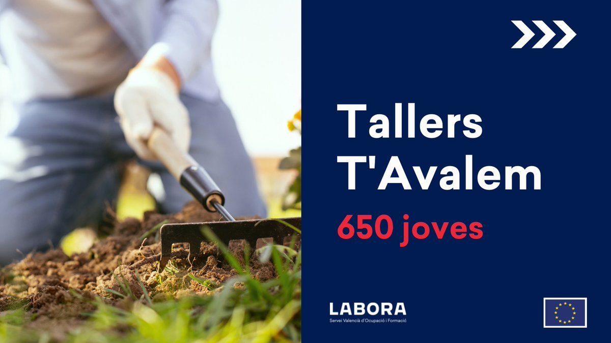 GVAlabora's tweet photo. 🔴ATENCIÓ AJUNTAMENTS I ENTITATS LOCALS‼️
✅Ja podeu sol·licitar les ajudes del programa mixt d'#ocupació-#formació #GarantiaJuvenil de #LABORA "T'Avalem" exercici 2021 fins al 5 de juliol. 
✅NOMÉS AJUNTAMENTS I ENTITATS LOCALS➡️ https://t.co/1wwblnSJtR
 #SomLabora #FSE 🇪🇺 https://t.co/hmDxLVzg8e