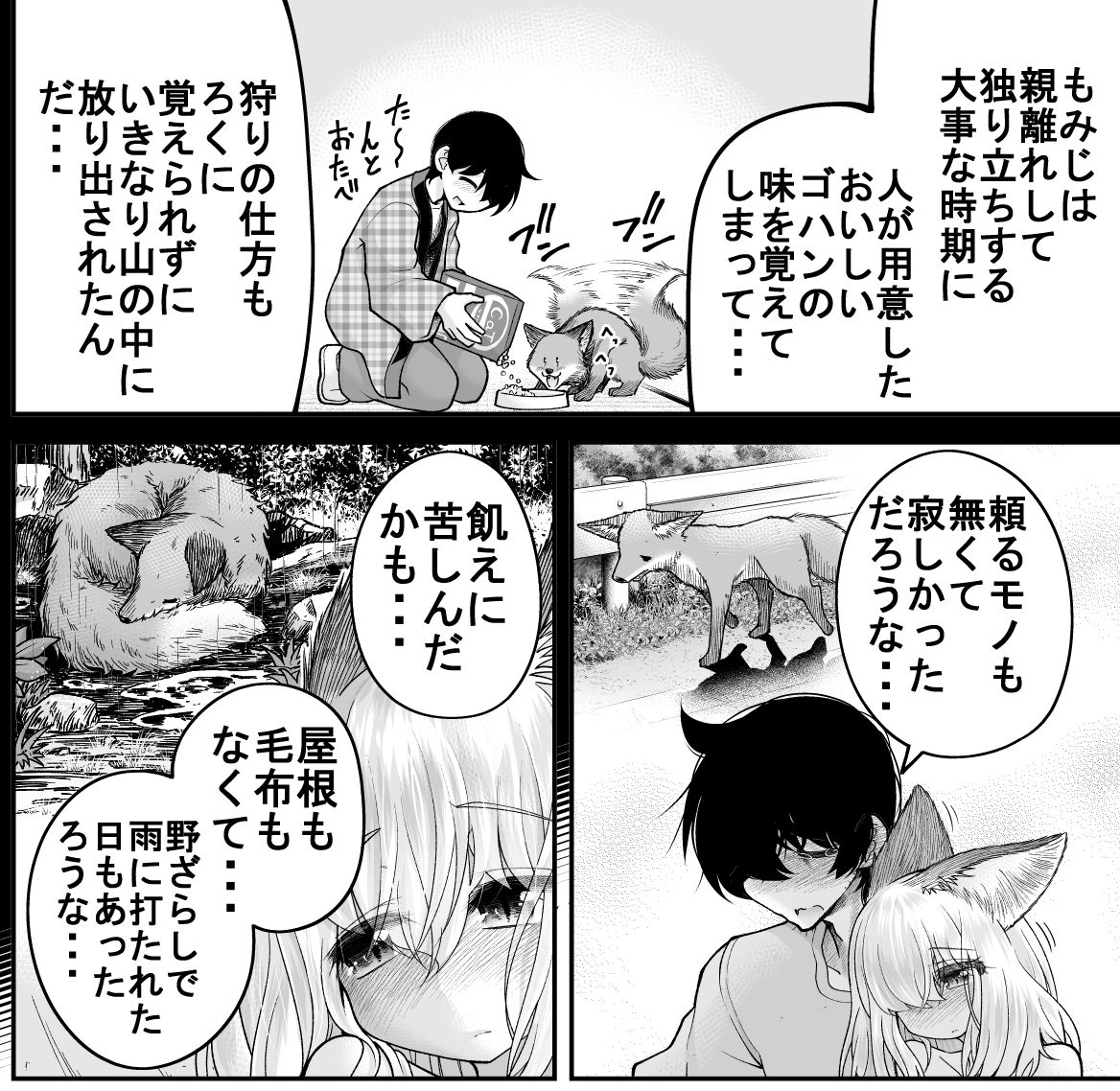 野生の狐に餌付けをしたらいけない理由 