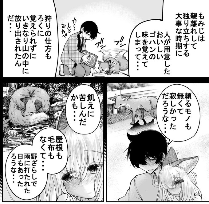 野生の狐に餌付けをしたらいけない理由 