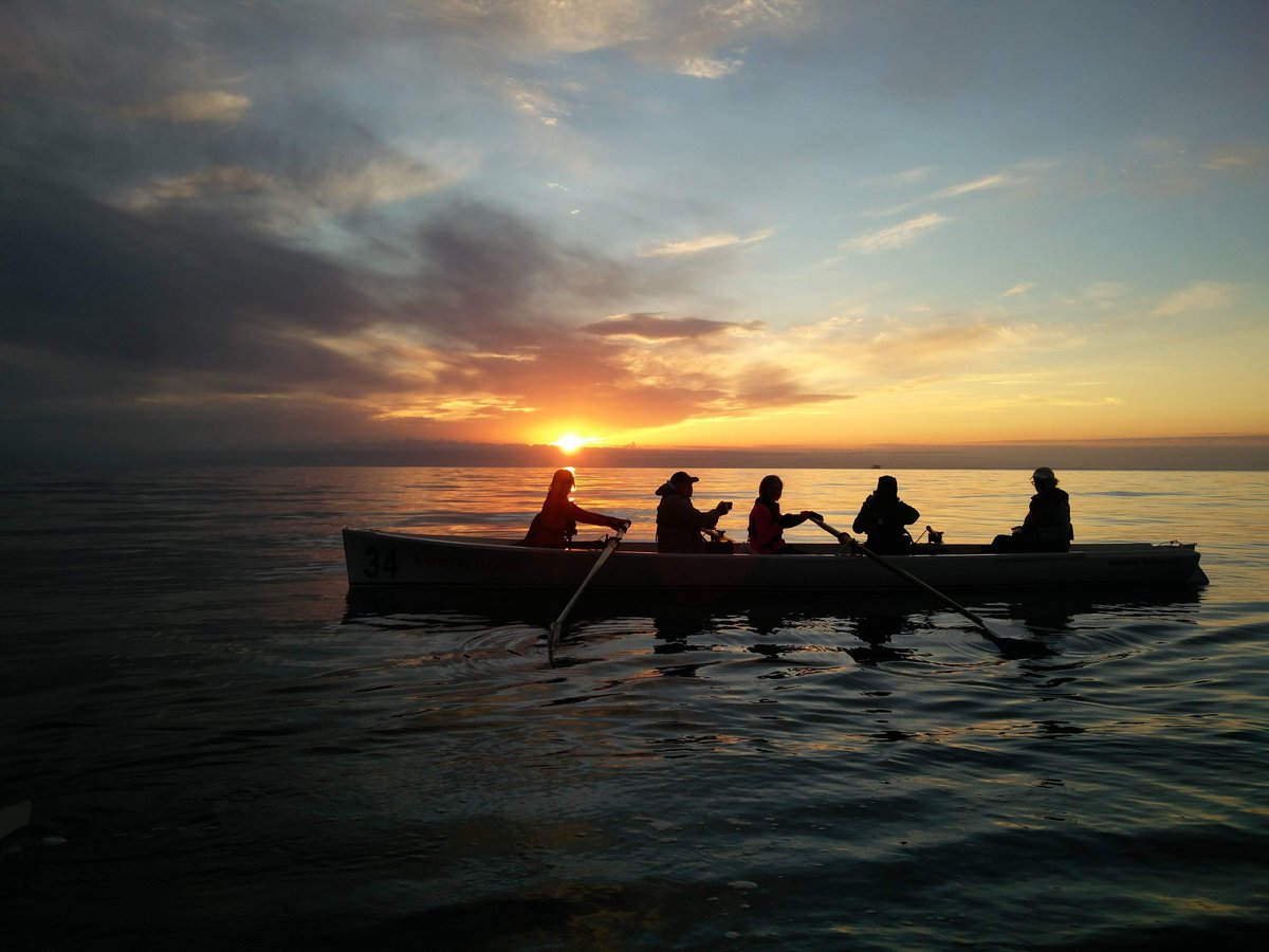 WhiteheadRowers tweet media