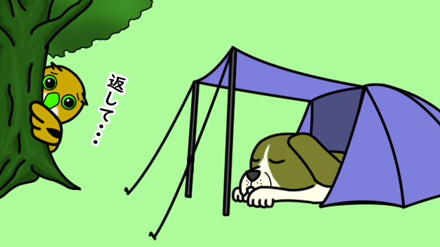 Owls Forest こんにちは Owls Forestです ドッグキャンプって聞いたことないでしょうか 私は今は犬を飼っていないので詳しくはわからないのですが 愛犬家キャンパーさんに合わせたキャンプ場があります ドッグラン完備で 中にはドッグランみたいな