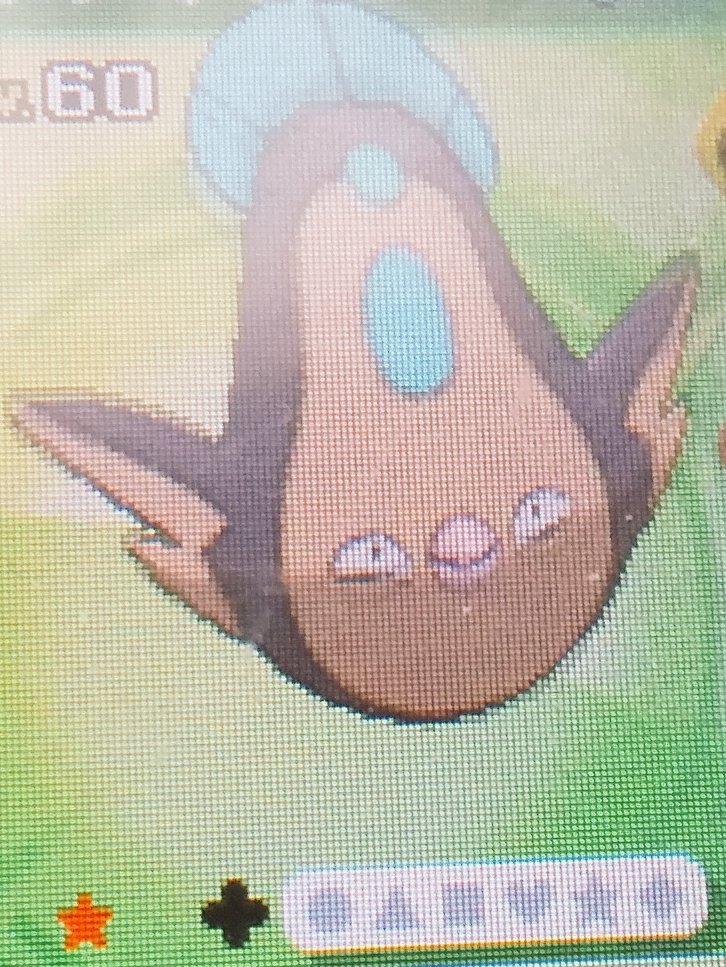 ポケモンgo マッギョの色違い 入手方法と実装状況 攻略大百科