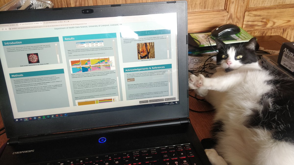 🐱 Poppy's back again helping me show off my iPoster at  #WorldMicrobeForum - if you're interested in machine learning applied to genomics and macroevolution of coronaviruses it's poster WMF21-2453 or direct link: bit.ly/2Sd2QH2

<a href="/LivStatGen/">LivStatGen</a>
<a href="/FEMSmicro/">FEMS</a>  
<a href="/ASMicrobiology/">ASM</a>