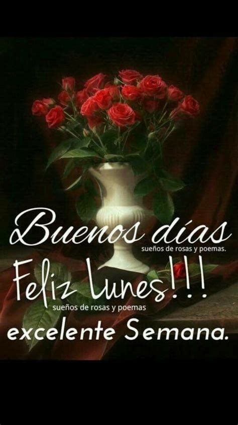 Nieves13Mari's tweet photo. @teresa3160 Buenos días corazón lindo lunes y verano...🌞🌞🌞🥰🥰 https://t.co/S9UzFpwI5t