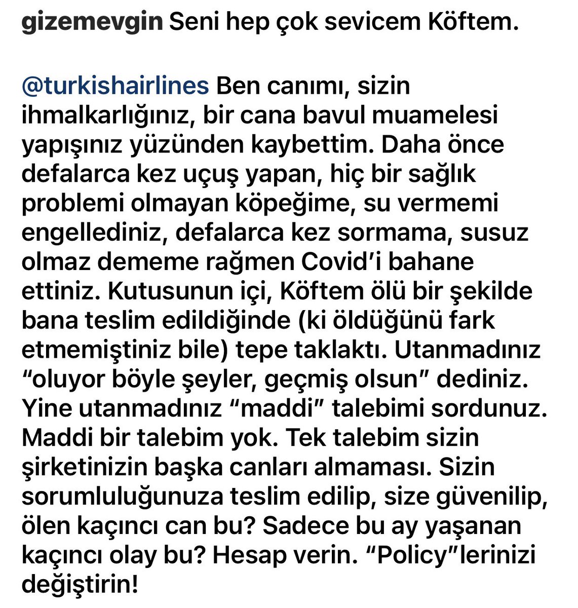 s_hablemitoglu's tweet image. Instagram hesabında can dostunu uçağın kargosundan ölü olarak teslim alan bir @TK_TR yolcusunun paylaşımı. Bu durum için hiç bir bahane üretilemez. İnsanları bu duruma düşürmeyin. Ödüllü havayolu. Böyle kurumsallık olur mu?..