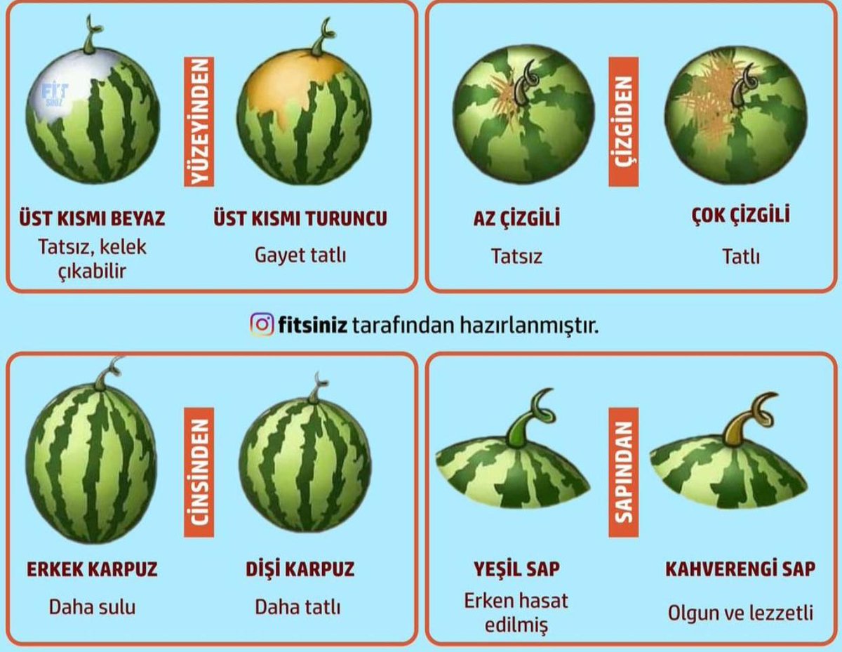 🍉 İyi karpuz nasıl seçilir?