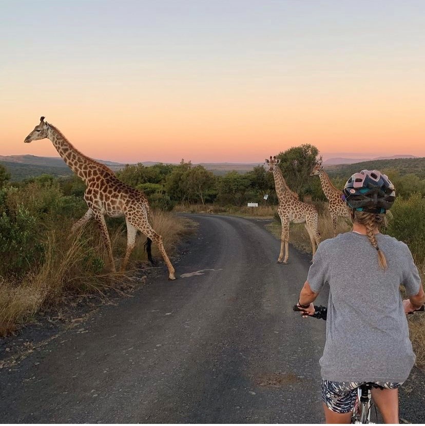 KuoniMetro's tweet photo. 🦒🦒 Happy World Giraffe Day 🦒🦒

If seeing these amazing animals is on your bucket list, the question is where do you go? 
The tallest animal is celebrated on the longest day of the year .... don't just dream - speak to an expert in store for advice 🦒 https://t.co/uFdmC6Z7Yj