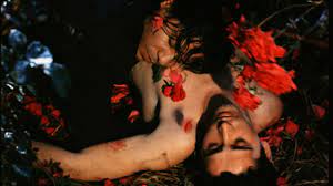 Alfama Films tweet media