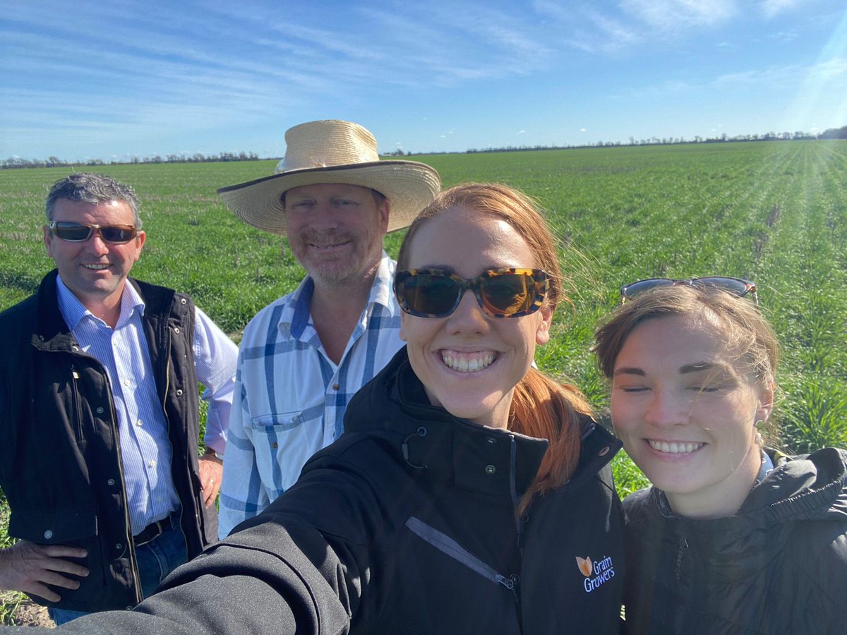 GrainGrowersLtd's tweet photo. Farm tour of @AgForce Grains Chair Brendan Taylor's place in QLD @HoskingBrett @ameliashaw91 @MaxieHanft @Warraboy Speaking about drought, market opportunities and research investments #AustAg #AussieFarmers #GrainGrowers https://t.co/4HoiLCYLVq