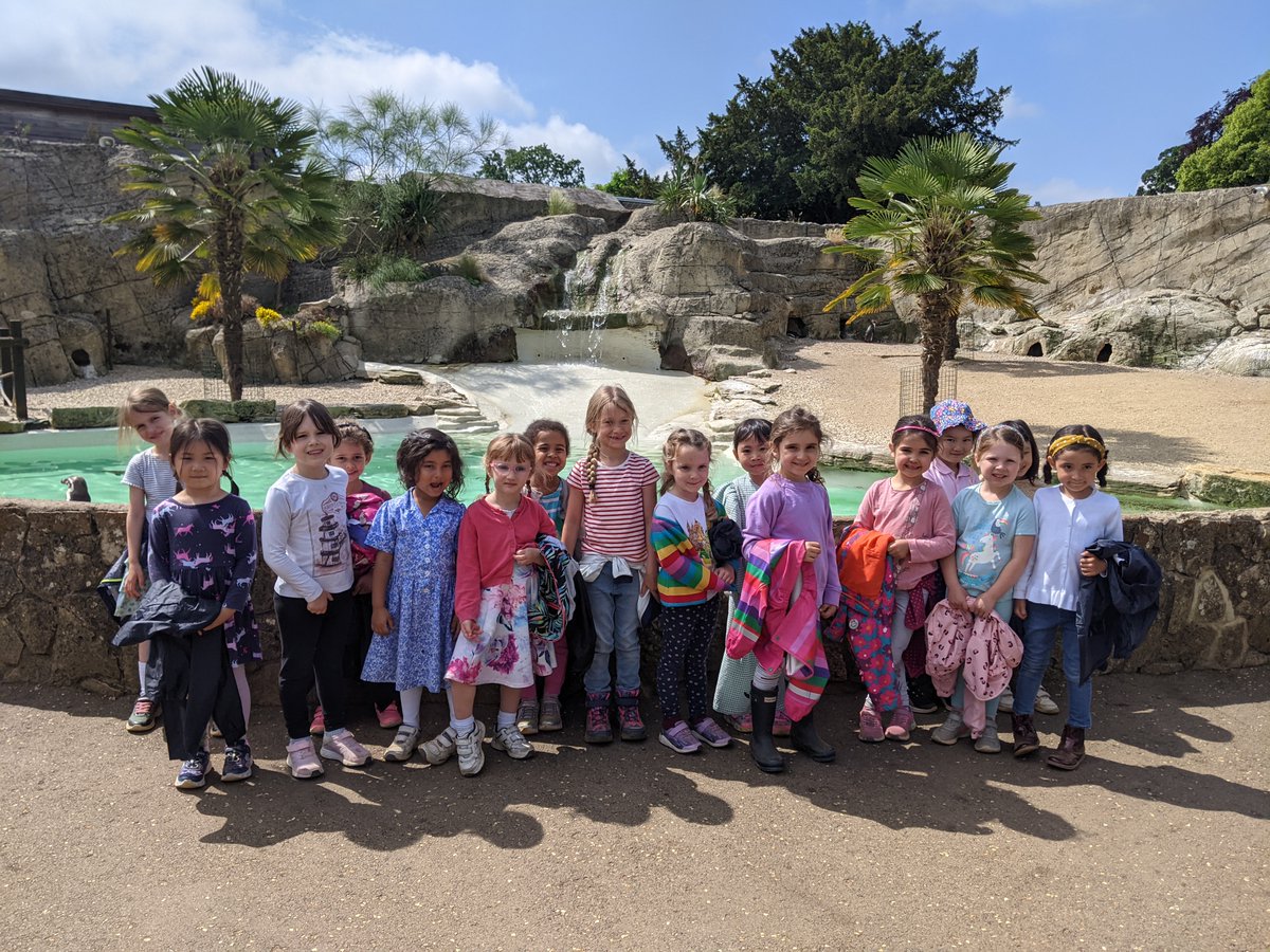 OHPSchool's tweet photo. This grey Monday morning, we're reminiscing about our trip to Costwold Wildlife Park last week with our Reception girls. They had a fantastic time and their favourite animals were definitely the penguins! #schooltrip https://t.co/VHaSfBlzh2