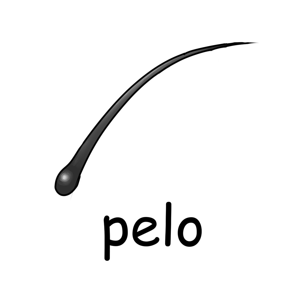 毎日イラストイタリア語 V Twitter 毛 Pelo ペーロ Per Un Pelo 毛一本の差で といって 毛一本分の差であるほどギリギリである様子 日本語でいう間一髪という意味になります イラスト イタリア語 毎日イラストイタリア語 V Twitter 毛 Pelo ペーロ Per Un Pelo 毛一本の差で といって 毛一本分の差であるほどギリギリである様子 日本語でいう間一髪という意味になります イラスト イタリア語