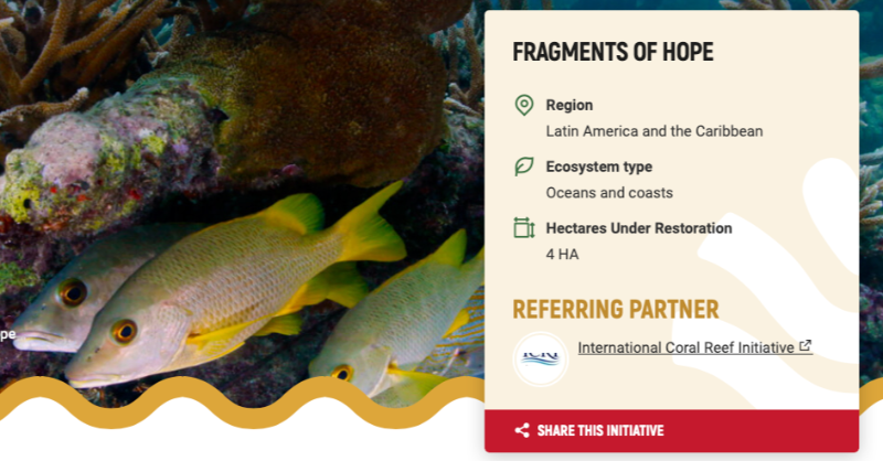 ICRI_Coral_Reef's tweet photo. 🚨📣 @FOH_Belize have been confirmed as one of the @UN's Decade on Ecosystem Restoration Forming 50 Initiatives 🙌🏼 Fragments of Hope currently have 4ha of #coralreef under restoration in Belize 📈🇧🇿 @commonwealthsec #BlueCharter #GenerationRestoration 🌎 | Read More ⬇️