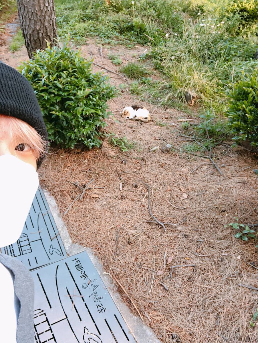 jisungpakr's tweet photo. 🤳📸 https://t.co/MgeFv8b3Av