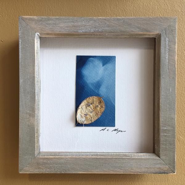 MakersWales's tweet photo. #MakerInFocus
Exhibition by guild member Alison Moger using the Honesty Plant / Lunaria Annua as a poignant reflection on the life of the elderly in carehomes.
https://t.co/1HA5rt5RGH

Image: 'I need to be held '
https://t.co/8Imvd7Pp8L

@alisonmoger @cARTrefuAC @Arts_Wales_ https://t.co/JbQEumxHYQ