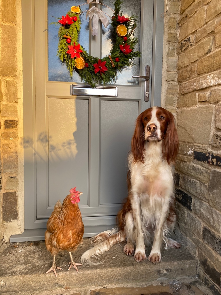 OFF-ROAD SHORTLIST

Take a look at the shortlist of our fabulous Off-Road Dog entries. What a difficult decision it must have been for the judges!