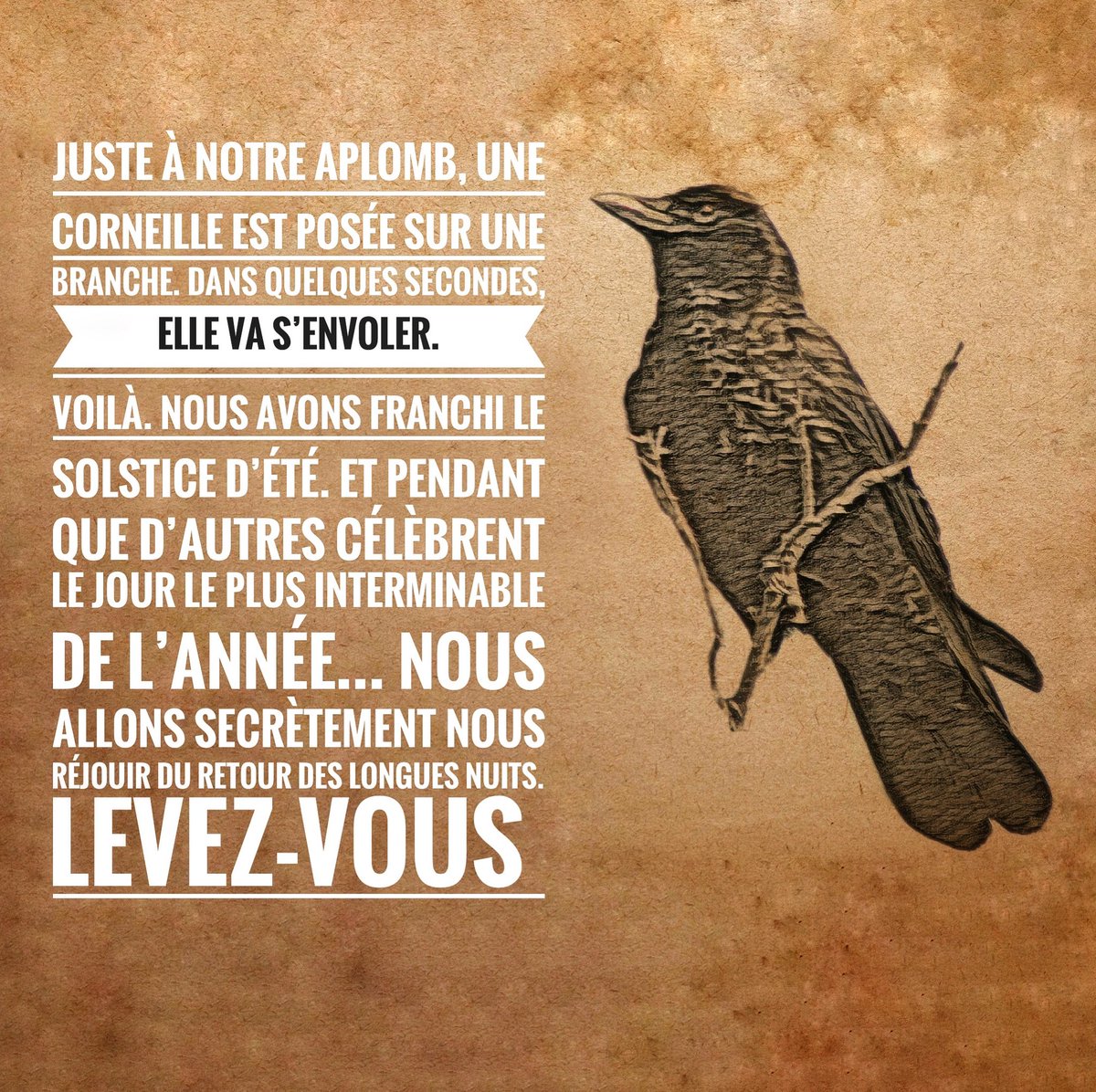 G_Carrier's tweet photo. @AAstierOff #kaamelott #kaamelottaddict #kaamelottfan #kaamelottlefilm #kaamelottrepliquescultes #kaamelottofficiel #kaamelottuniverse #kaamelottpremiervolet #kaamelottcitation #kaamelottfan #kaamelottfanart #kaamelottforever #kaamelottmemes #alexandreastier #aastier #roiarthur https://t.co/6ZspfAlpB0