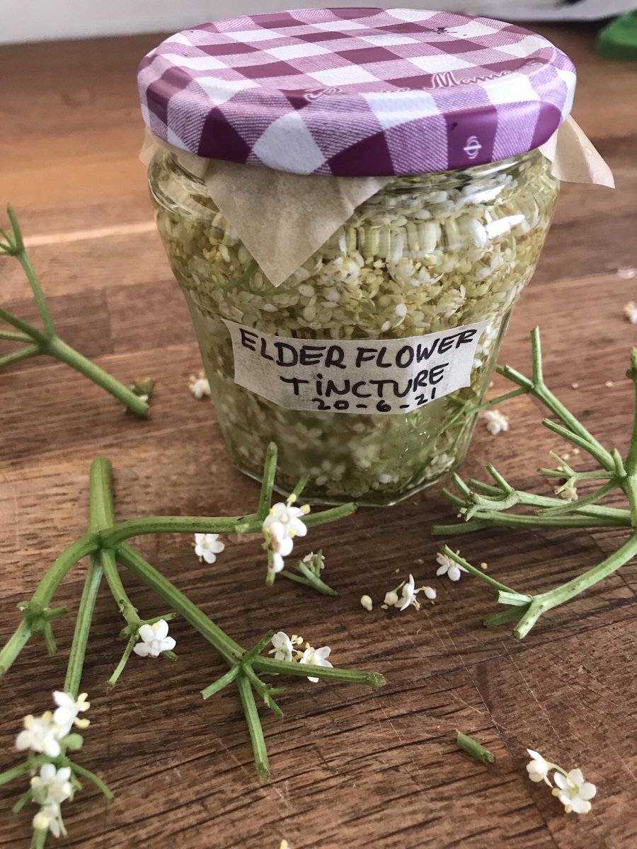 Hat-cheeeh🤧

Made my grans elderflower tincture again yesterday. 1 teasp, 3x daily to help with hay fever symptoms. My mum uses elderflowers effectively in a steam inhalation. 

What helpful hay fever home remedies do you use?
#hayfever 
#homeremedies 
#powerofnature