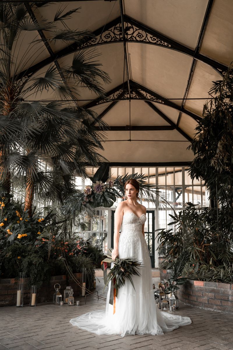 Tess Viera tweet media