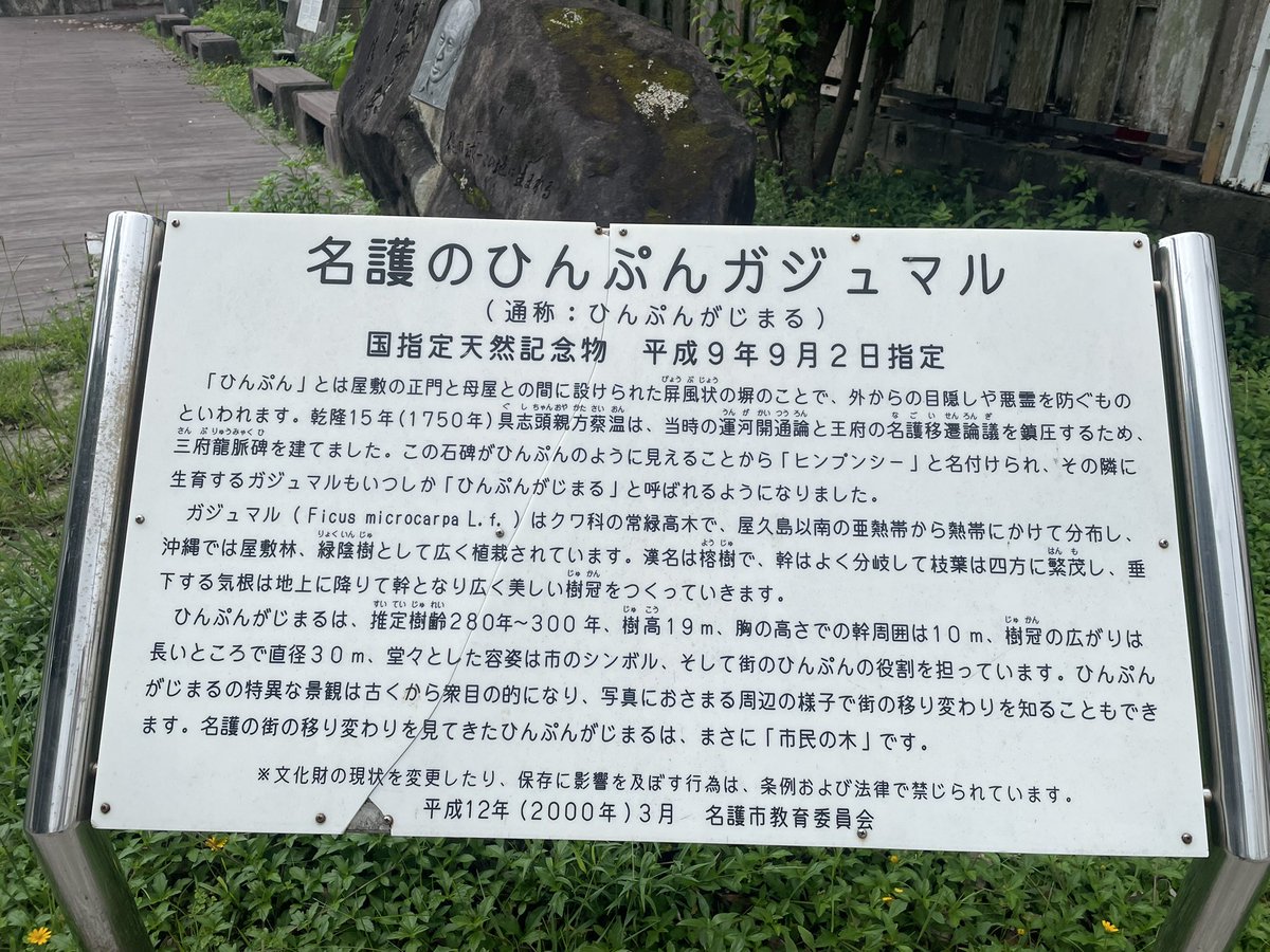 永遠の地主さん 最近instagramとかで話題になってる 名護 の パワースポット ひんぷんガジュマル みなさんにもご利益ありますように ヒンプンガジュマル かじまる 人気あるのはわかるけど 路駐はやめようね 永遠の地主さん 最近instagramとかで話題になってる 名護 の パワースポット ひんぷんガジュマル みなさんにもご利益ありますように ヒンプンガジュマル かじまる 人気あるのはわかるけど 路駐はやめようね