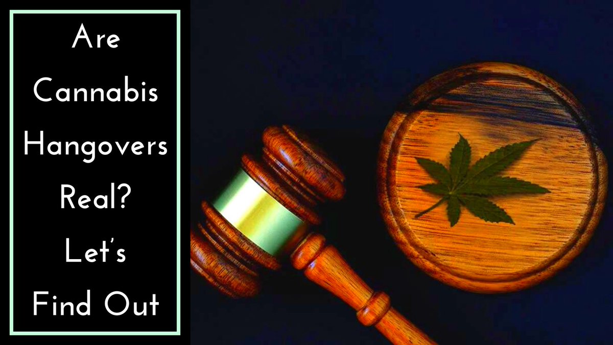 card_mmj's tweet photo. Applying for an online medical #marijuana_card in Anaheim? In that case, you perhaps are new to the herb. And #420doctors suggest that before you indulge in #cannabis, you must have the idea of #marijuana hangovers.

Read more visit: https://t.co/kkgYbzLTJ8 https://t.co/E6a6GXYhoz