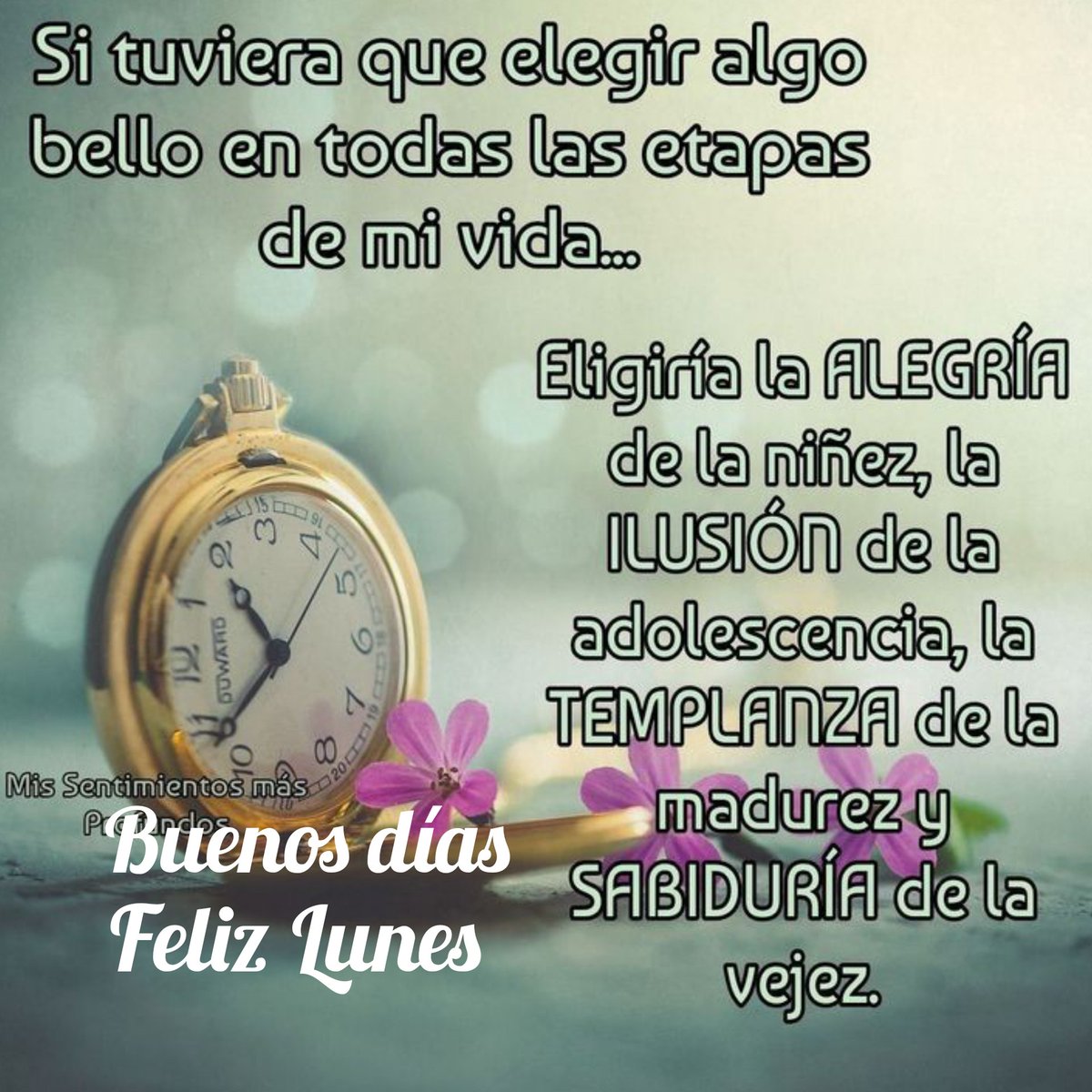 Julieta49031100's tweet photo. @MariLoliPellon Buenos días MariLoli excelente inicio de semana bonito lunes qué tú día no sea pesado y que sea tranquilo saludos a todo tú equipo de trabajo https://t.co/lzBGW6UhvJ