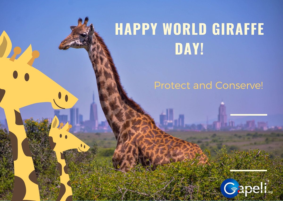 Westandtallforgiraffe Twitter Search Westandtallforgiraffe Twitter Search