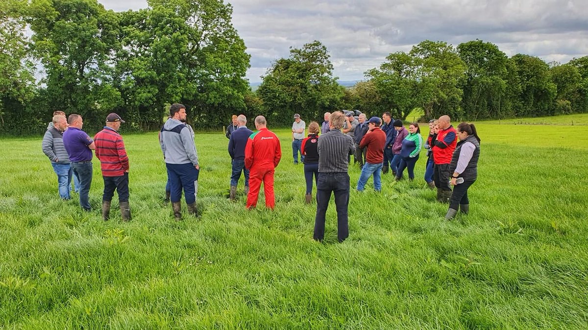 Great to finally have in person discussion groups back! Covered a lot of interesting topics and got good feedback! Looking forward to hosting more of these in the near future!
#lelymitchelstown #brightfarming #farminginnovators #irishfarming