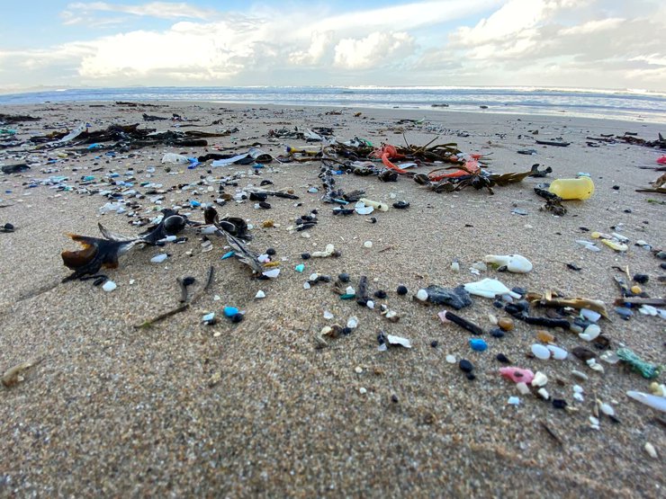 Want to make a difference during #PlasticFreeJuly?

The impacts of #PlasticPollution have been of rising concern over the past few years. Get involved during Plastic Free July and help reduce our collective #PlasticFootprint. 

Find out more here:
civilserviceenvironmentnetwork.org/post/how-to-ma…