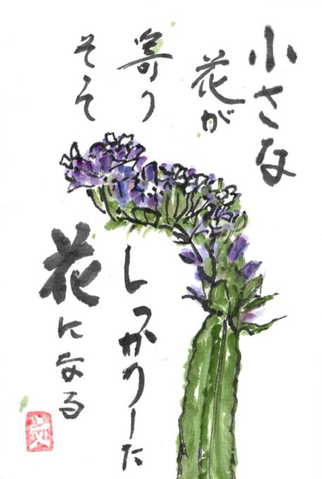 スターチスのtwitterイラスト検索結果 スターチスのtwitterイラスト検索結果