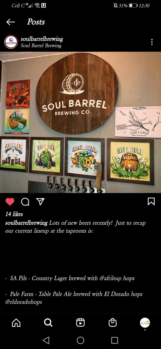 Thank you to the good folks at Soul Barrel Brewing for using AfriLeap hops their preferred ingredient for their fantastic SA pilsners. It's only our pleasure to be a supply sustainably grown, fresh, premium quality hop to your brewery. ❤️🥳