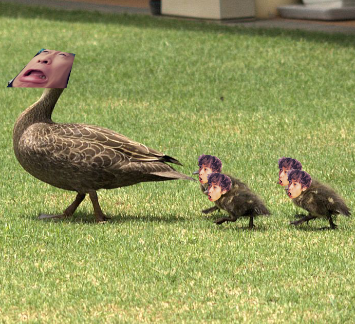 eggy_bean's tweet image. 🔔ANNOUNCEMENT🔔 Eggy's First IRL Stream WALKING MY CHICKS! 🐤
Join my live stream later this afternoon to see my first ever IRL Stream:
ow.ly/nKh350FempH
#Eggs #SideChicks #TwitchStreamer #Stream