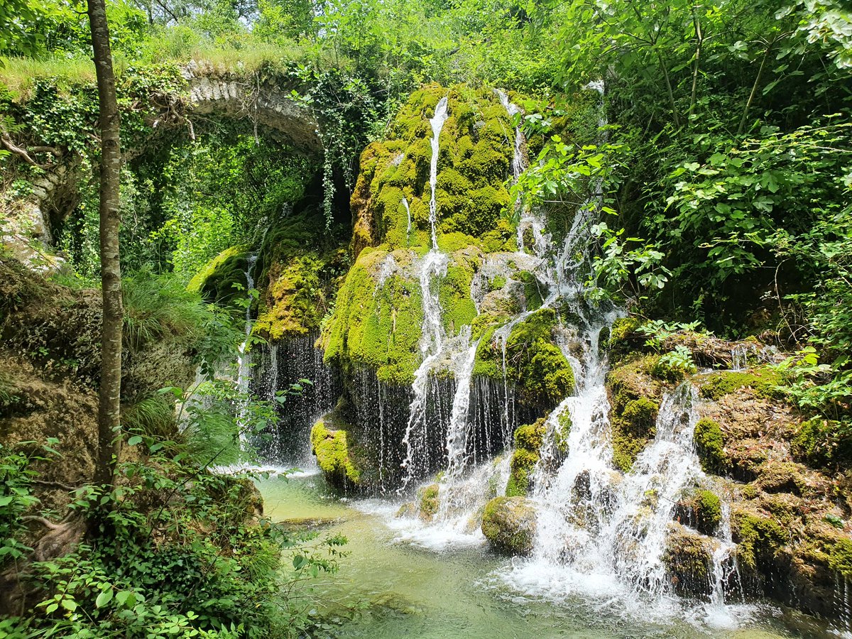 DomenicoBruno's tweet photo. Casaletto Spartano... altra gran bella camminata! Tanta natura, si sale e si scende per arrivare con un gran finale, l'oasi capelli di Venere

#camminodisannilo #followthemonk #camminidelsud #camminiditalia #iocamminoinitalia #camminoinitalia #cammino  #naturelover #intothewild https://t.co/kmPcHWr67e