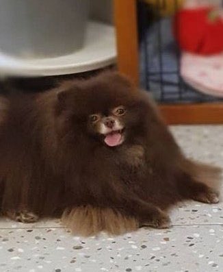 voguzyes's tweet image. ยิ้มไร