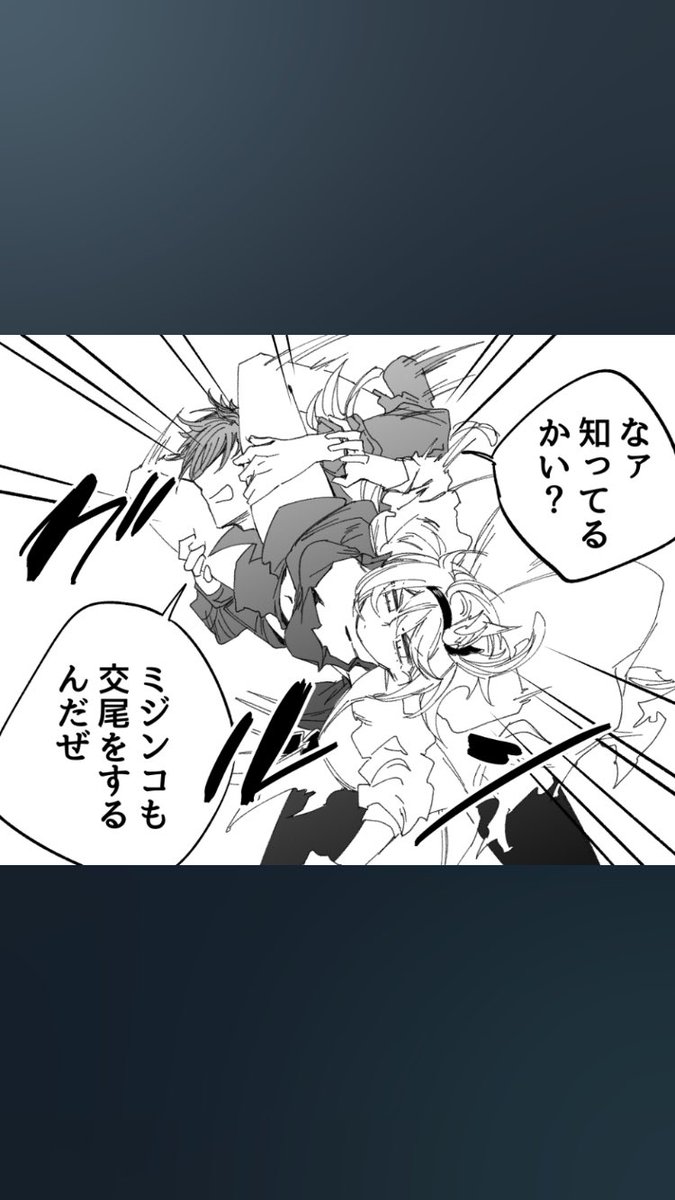 今日の 