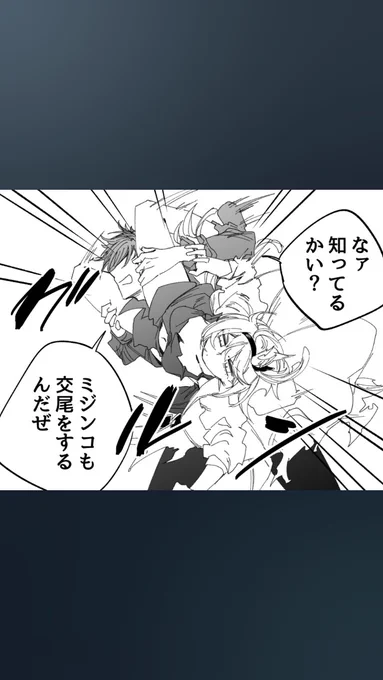 今日の 