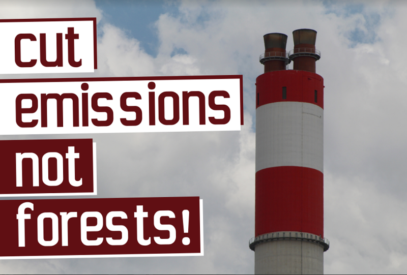skyddaskogen's tweet photo. Together with over 60 groups, we urge the @govpt and @EU_Commission to NOT use public funds to finance a coal-to-#biomass conversion at Pego power station. In practice, this would mean #BurningTrees https://t.co/VWEg0Asfr7 #StopFakeRenewables #StopPegoConversion https://t.co/CazLKyDCdt