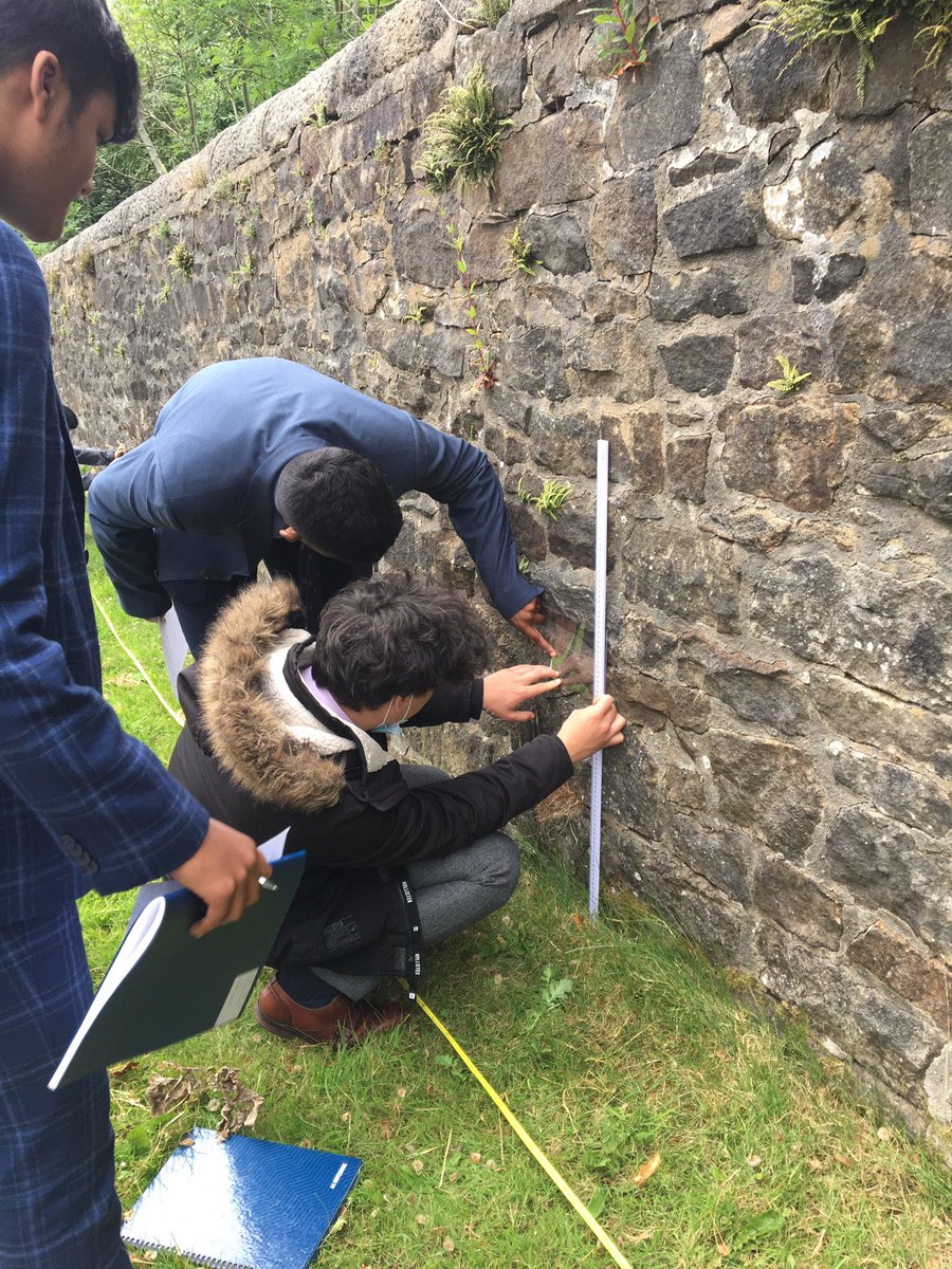 Lower Sixth lichen investigation to introduce systematic sampling and Spearman’s correlation coefficient #StatisticsInBiology #indicatorspecies